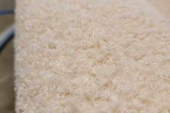 e287c3fe-3f1f-4017-9c81-aca93ebead38