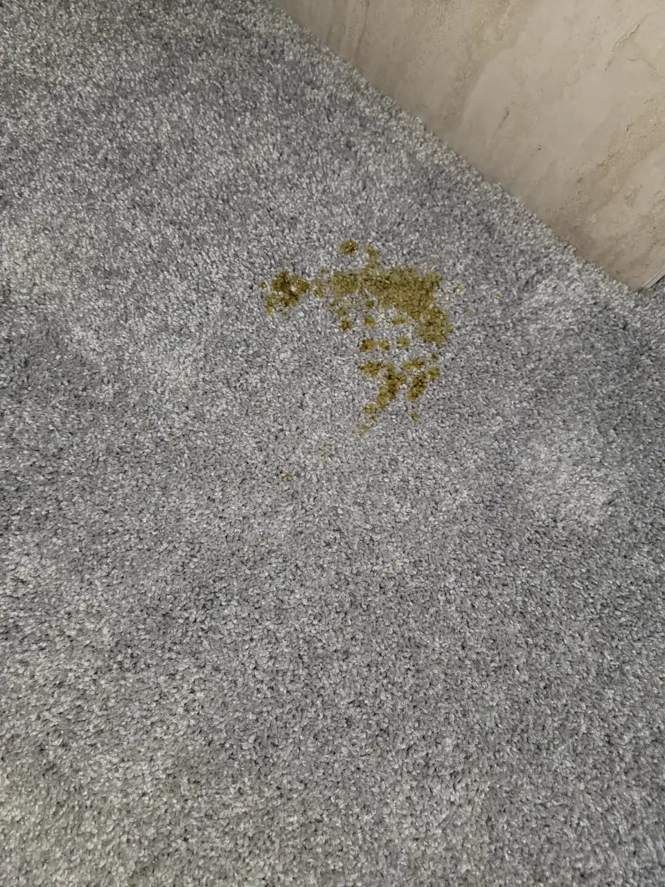 Yellow spill on gray carpet before cleaning