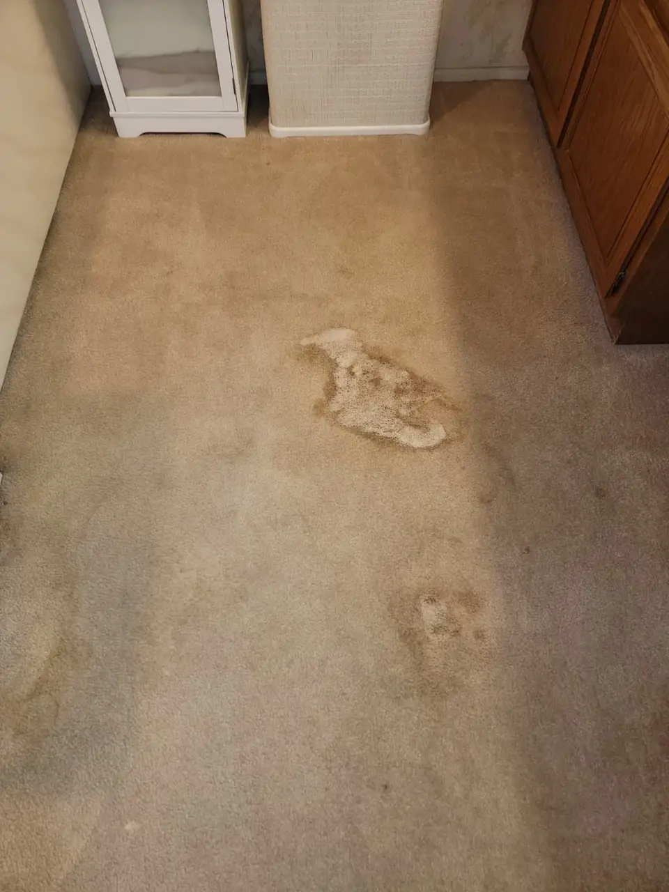 Beige carpet with large stains before cleaning