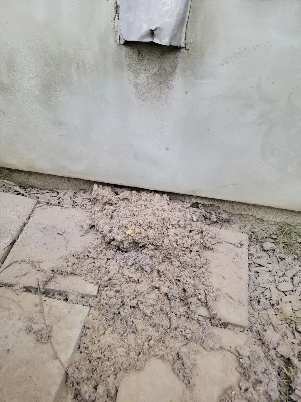 Large pile of lint removed from a dryer vent, below the exterior vent opening