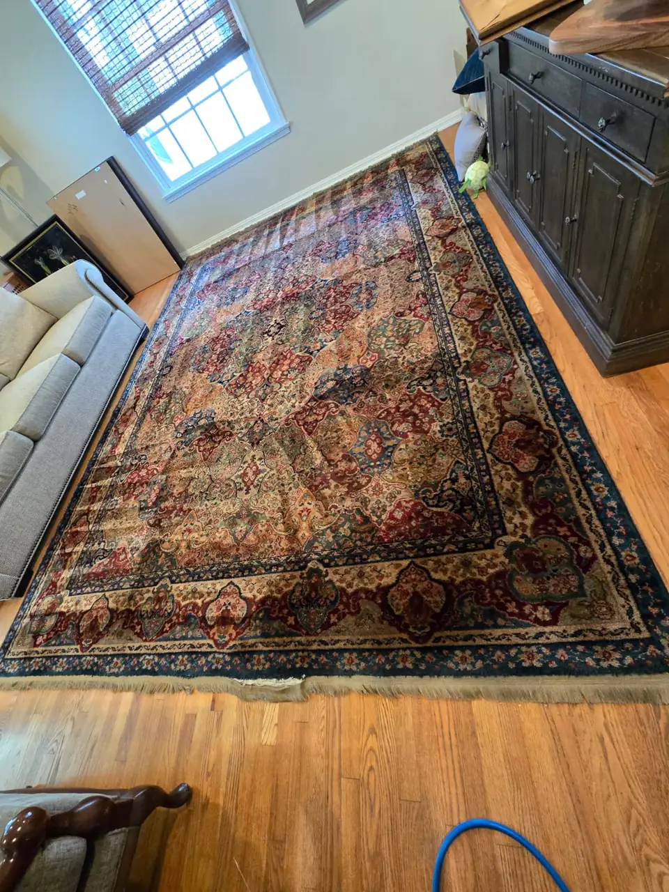 Kerman rug in a living room after cleaning